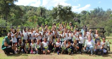 Mineração Usiminas recebe estudantes de Itatiaiuçu para ação de educação ambiental no Viveiro de Mudas