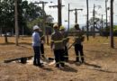 Cemig Agro define primeiras bases no interior de Minas e já prepara novos eletricistas para atuação