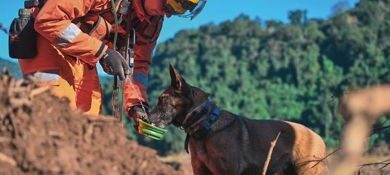 Corpo de Bombeiros Militar de Minas Gerais abre 342 vagas em concurso público com salários que podem chegar a R$ 11 mil