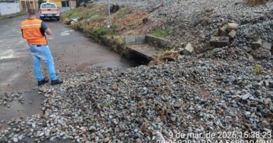 Chuva intensa provoca fortes enxurradas e queda de árvores
