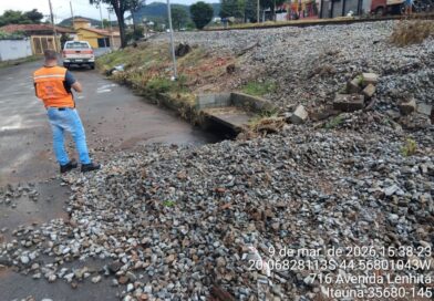 Chuva intensa provoca fortes enxurradas e queda de árvores