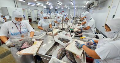 Governador Matheus Simões suspende benefício do ICMS às tilápias importadas