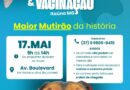 Itaúna vai realizar maior mutirão de castração de animais da história da cidade