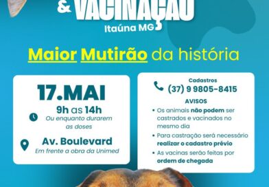 Itaúna vai realizar maior mutirão de castração de animais da história da cidade