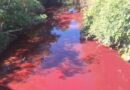Meio ambiente investiga mancha vermelho em córrego na região da ponte da Fazendinha