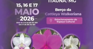 44ª Exposição de Orquídeas acontece entre os dias 15 e 17 no estacionamento do Espaço Cultural