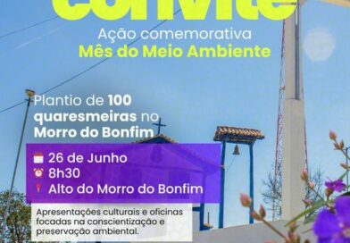 Prefeitura vai plantar 100 mudas de quaresmeiras na estrada do Morro do Bonfim