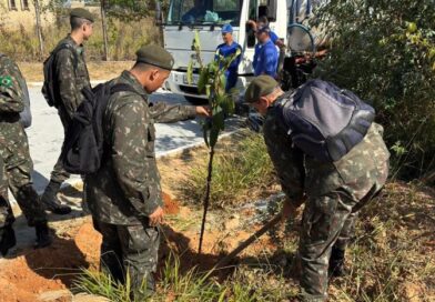 Prefeitura realiza plantio de quaresmeiras na estrada do Morro do Bonfim