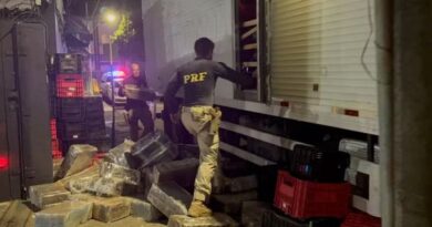 Policiais apreendem mais de 3 toneladas de maconha na BR-262