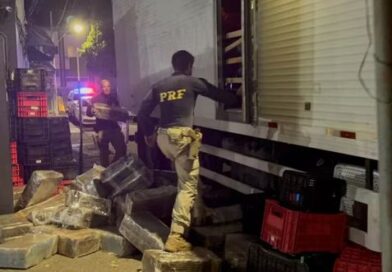 Policiais apreendem mais de 3 toneladas de maconha na BR-262