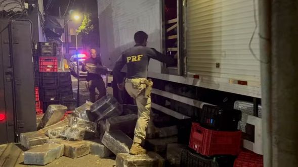 Policiais apreendem mais de 3 toneladas de maconha na BR-262