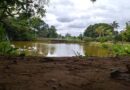 Pesca esportiva está com 15 vagas/dia abertas no Parque Ecológico Cordovil Fonseca