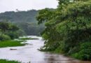 Defesa Civil monitora Rio São João