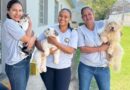 Itaúna vacina mais de 12 mil animais contra a raiva