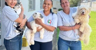 Itaúna vacina mais de 12 mil animais contra a raiva