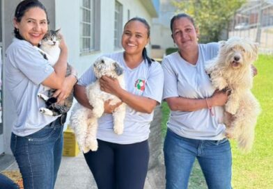 Itaúna vacina mais de 12 mil animais contra a raiva