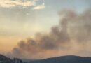Incêndio em área de mata em Santanense