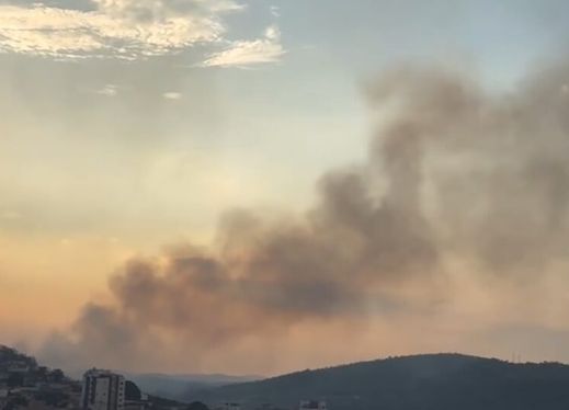 Incêndio em área de mata em Santanense