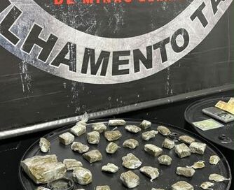 Apreensão de grande quantidade de maconha no Nogueira Machado