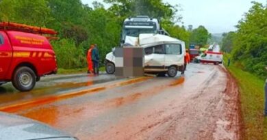 Colisão entre van e carreta deixa dois mortos na MG-050